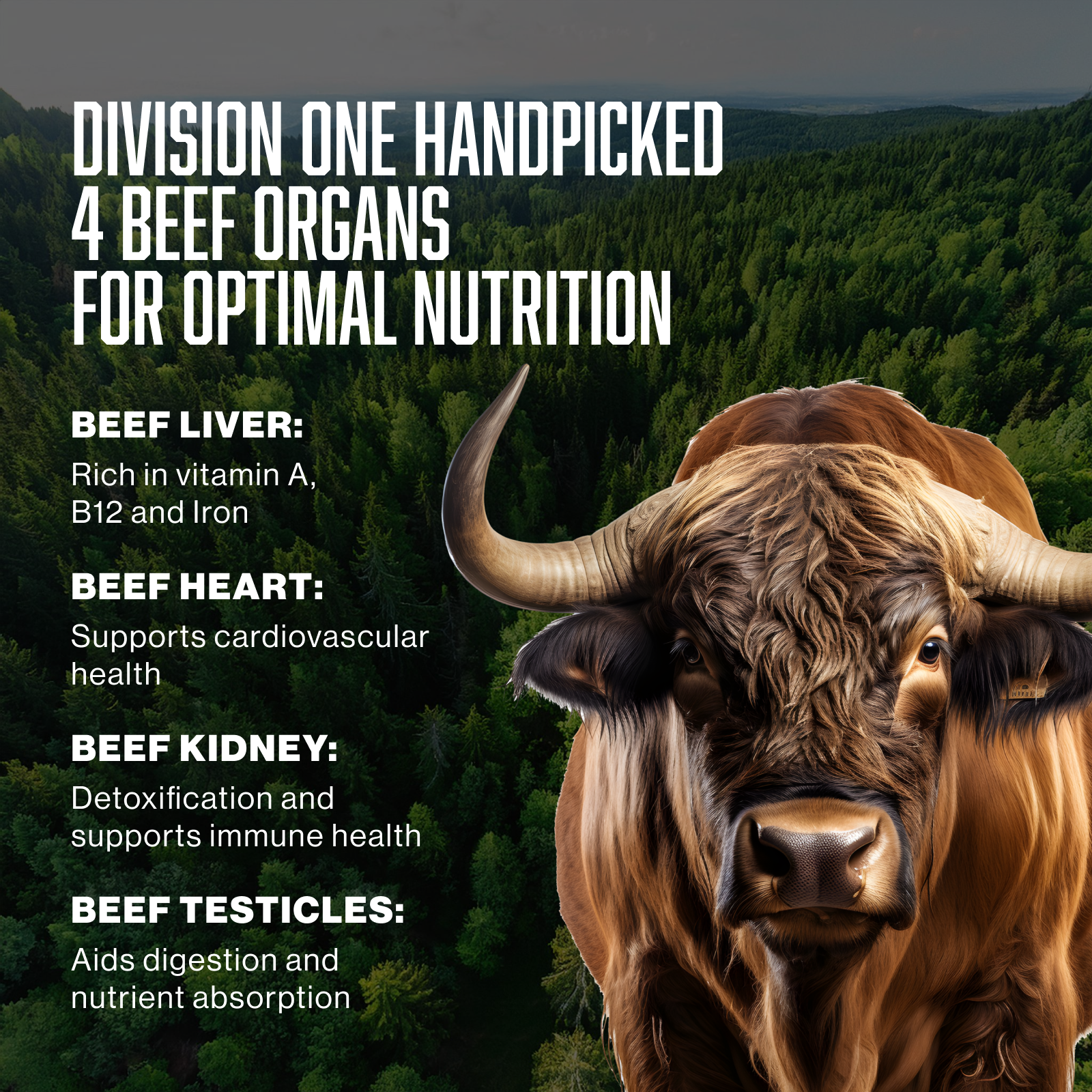 Division 1 Beef Organs - Primal Blend With Liver, Heart, & Kidney