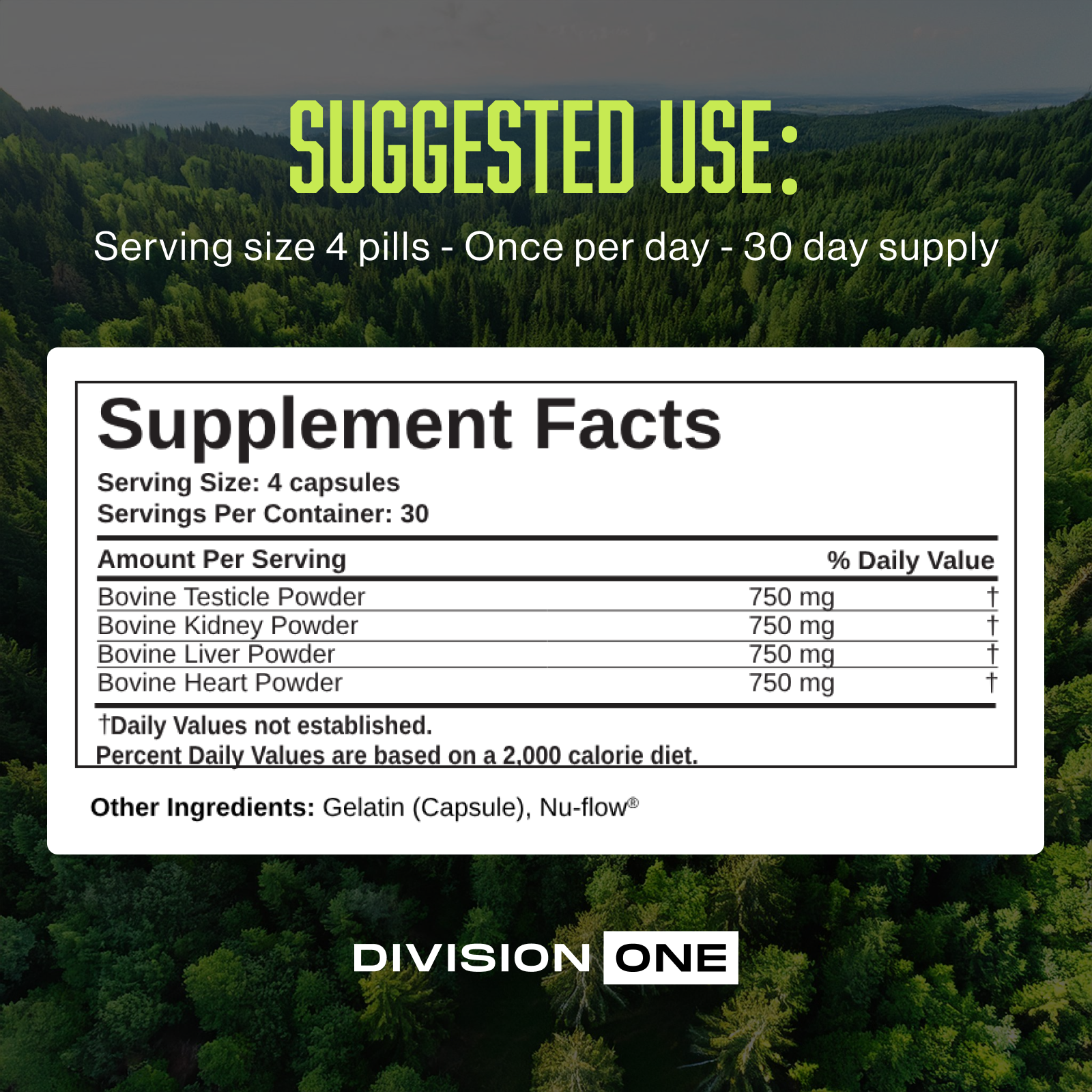 Division 1 Beef Organs - Primal Blend With Liver, Heart, & Kidney