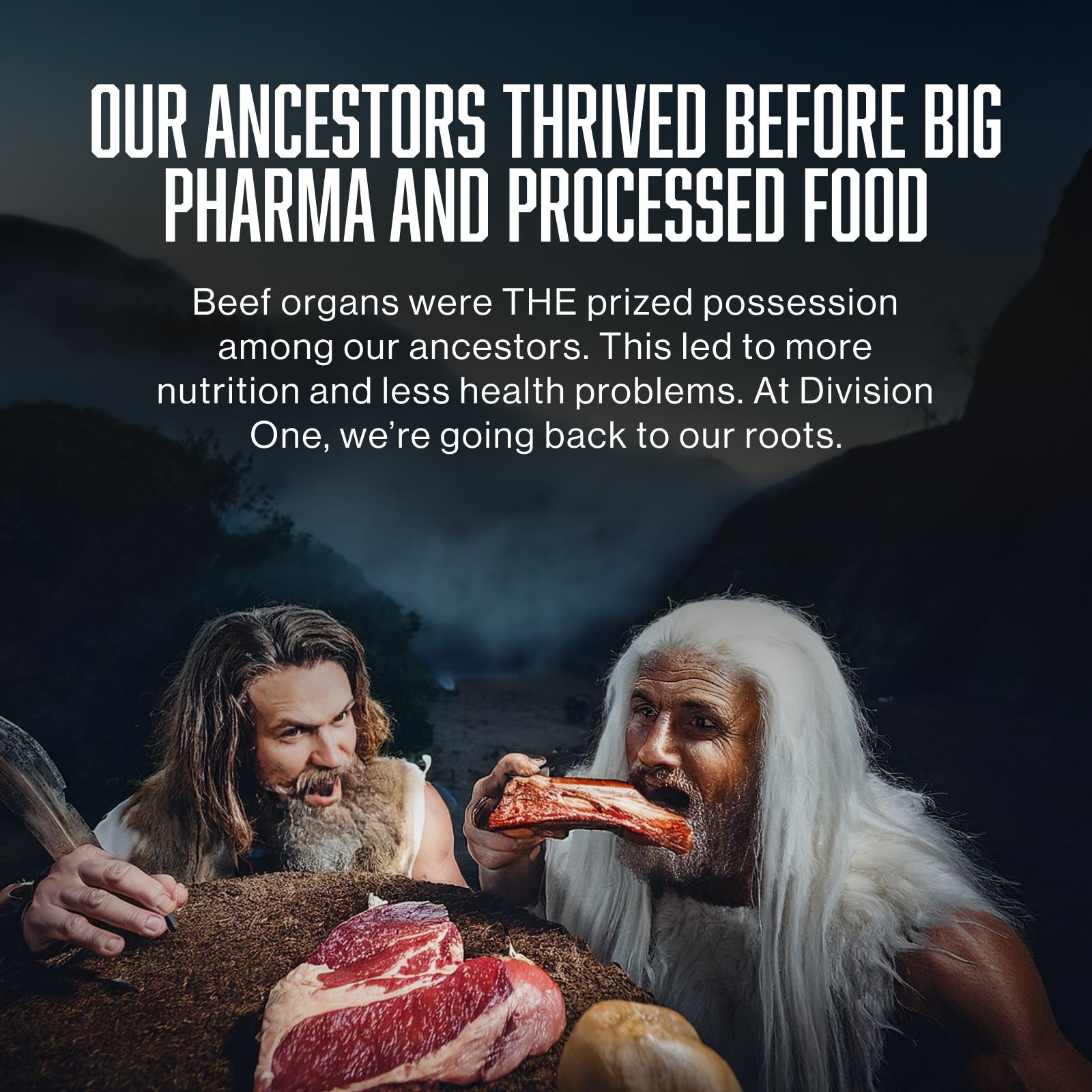 Division 1 Beef Organs - Primal Blend With Liver, Heart, & Kidney